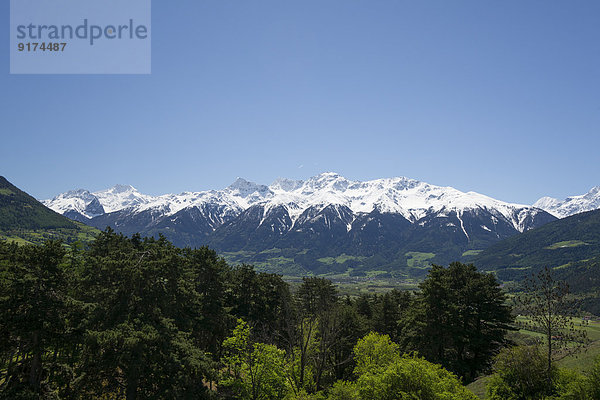 Italy  South Tyrol  Mals  Tartscher Buehel  View to Ortler Alps