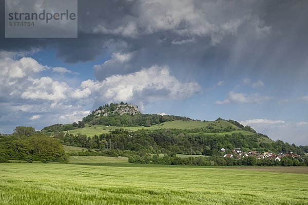 Deutschland  Baden-Württemberg  Landkreis Konstanz  Hegau  Blick auf den Hohentwiel