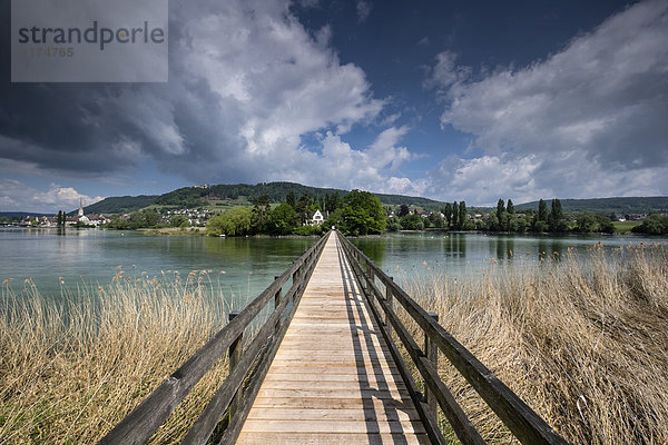 Schweiz  Thurgau  Eschenz  Holzbrücke  Blick über den Rhein zur Insel Werd