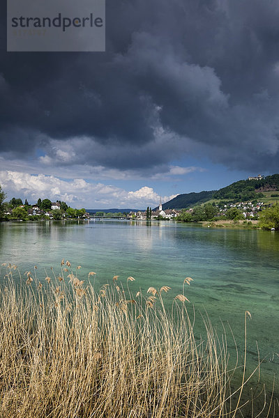 Schweiz  Thurgau  Eschenz  Blick nach Stein am Rhein