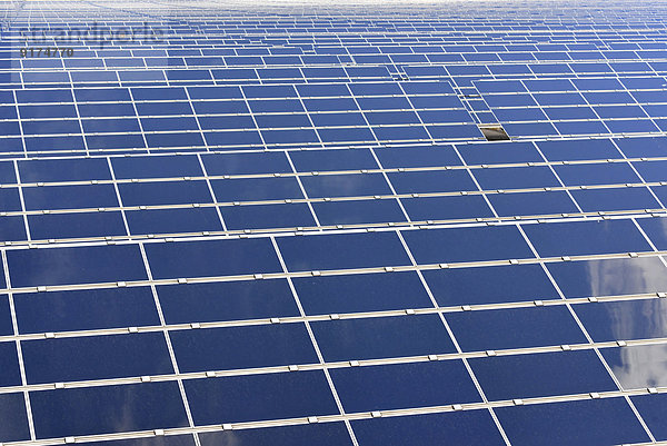 Deutschland  Fotoelektrische Zellen des Solarkraftwerks  Teilansicht