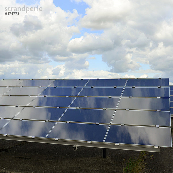 Deutschland  Fotoelektrische Zellen eines Solarkraftwerks mit Wolkenreflexionen  Teilansicht