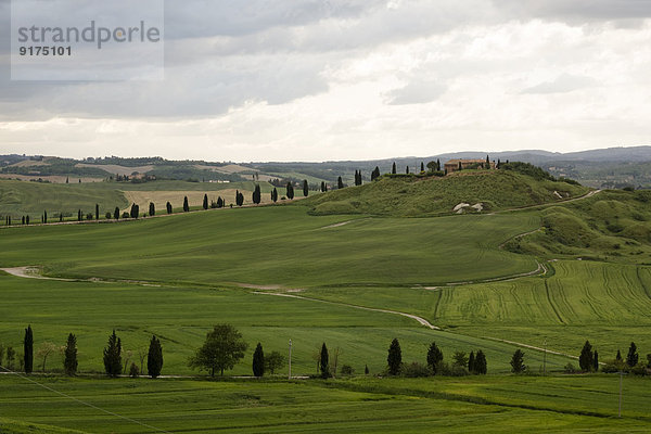 Italien  Toskana  Landschaft bei Siena