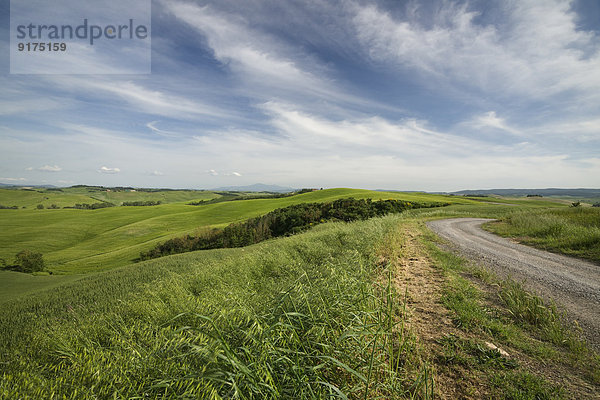 Italien  Toskana  Provinz Siena  Typische Landschaft bei Siena