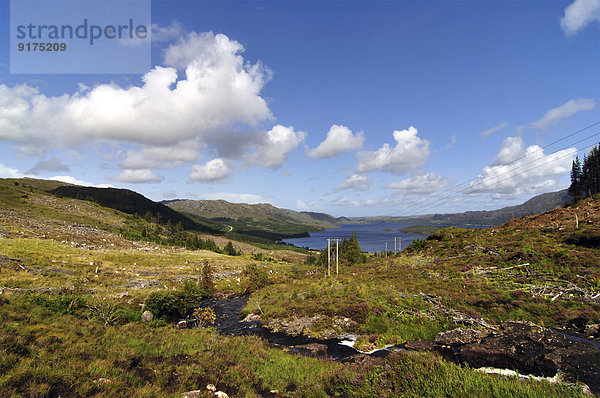 Vereinigtes Königreich  Schottland  Highlands