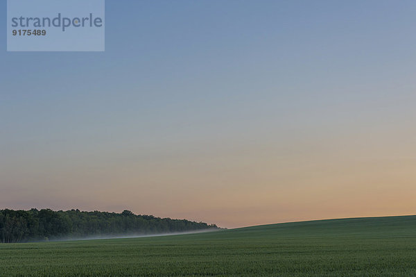 Deutschland  Sachsen  Muldental  Sonnenuntergang und Nebel