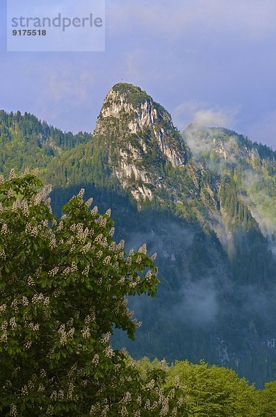 Deutschland  Bayern  Oberammergau