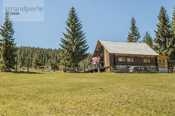 Österreich  Gosau  Holzhaus auf Almwiese