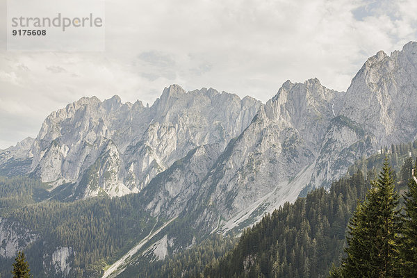 Österreich  Gosau  Blick auf das Dachsteingebirge