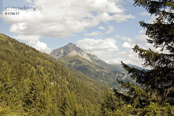 Österreich  Lungau  Alpenlandschaft