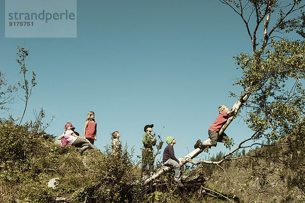 Gruppe von Kindern  die auf einen Baum klettern