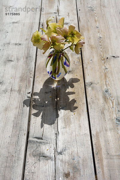 Blumenvase mit Winterrosenstrauß  Helleborus niger  auf Holz