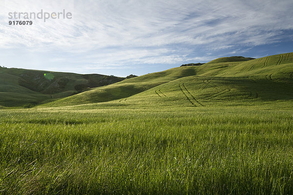 Italien  Toskana  Kreta Senesi  Landschaft