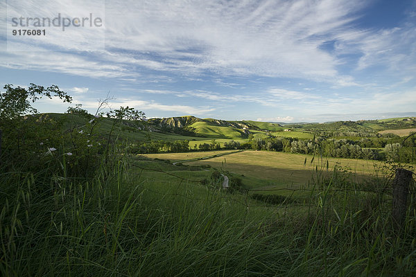 Italien  Toskana  Kreta Senesi  Landschaft