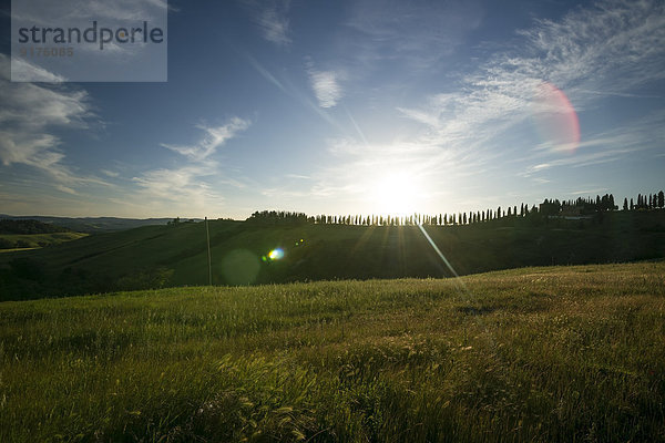 Italien  Toskana  Kreta Senesi  Landschaft bei Sonnenuntergang