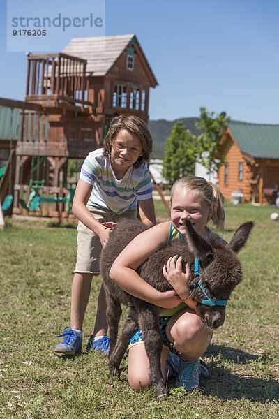 USA  Texas  Kinder streicheln Mini-Esel auf dem Spielplatz