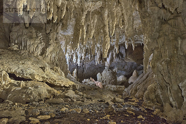 Neuseeland  Golden Bay  beleuchtete Flowstones in Stafford's Cave