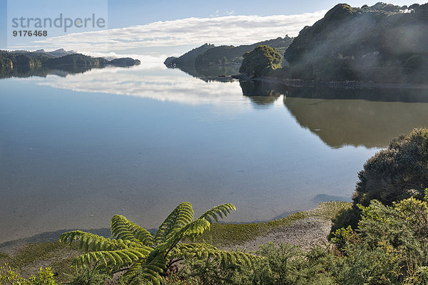 Neuseeland  Golden Bay  Whanganui Inlet  Inseln und Berge im Wasser nahe Westhaven