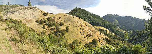Neuseeland  Nelson  Hügellandschaft mit Buschland und Wäldern
