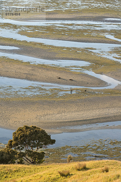 Neuseeland  Golden Bay  Puponga  Muster im Sand bei Ebbe