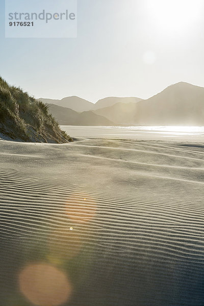 Neuseeland  Golden Bay  Wharariki Beach  Windmuster und Reflexionen in einer Sanddüne