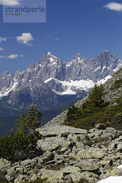 Österreich  Steiermark  Kreis Liezen  Tauern  Reiteralm  Blick zum Dachstein