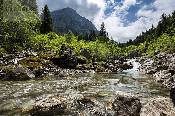 Österreich  Allgäuer Hochalpen  Bergbach Baerguntbach im Kleinwalsertal