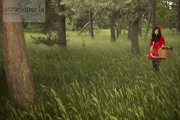 Rotkäppchen wandern im Wald
