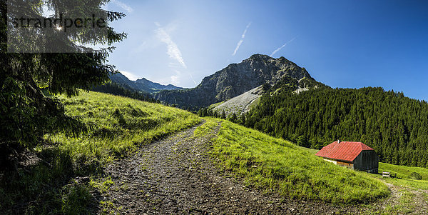 Deutschland  Bayern  Allgäuer Hochalpen  Geisalptal  Rubihorn