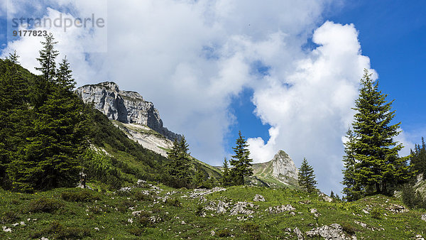 Österreich  Tirol  Allgäuer Hochalpen  Naturschutzgebiet Hoher Ifen  Mahd-Tal  Torkopfberg