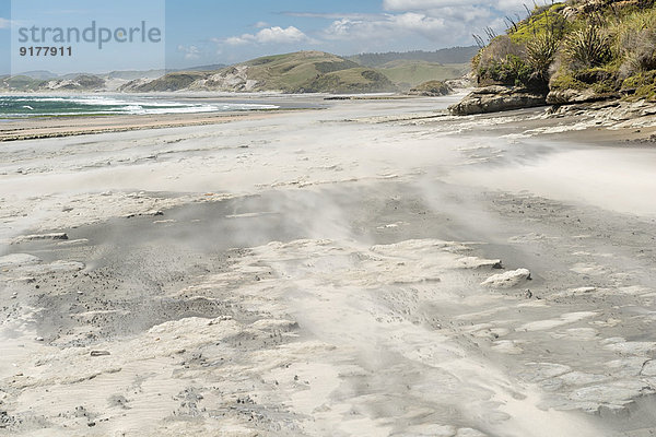 Neuseeland  Südinsel  Tasman  Kahurangi Point  windgetriebener Strand