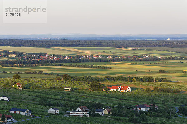 Österreich  Burgenland  Kreis Oberwart  Eisenberg an der Pinka  Weinberge  im Hintergrund Dorf Horvatloevoe in Ungarn