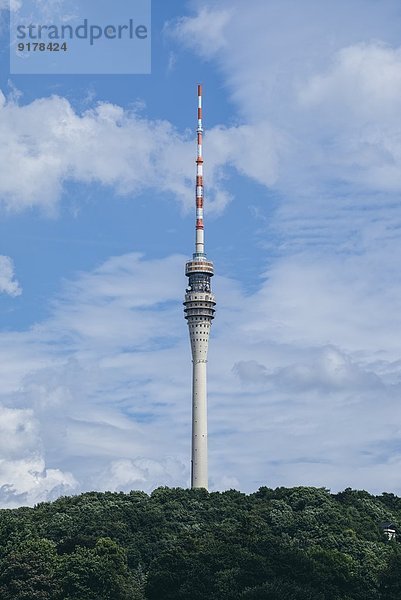 Deutschland  Sachsen  Dresden  Blick zum Fernsehturm