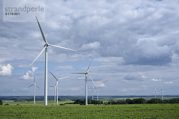 Deutschland  Sachsen  Windkraftanlagen auf dem Feld