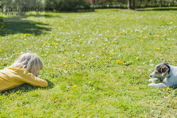 Junge spielt mit Jack Russel Terrier Welpe im Garten