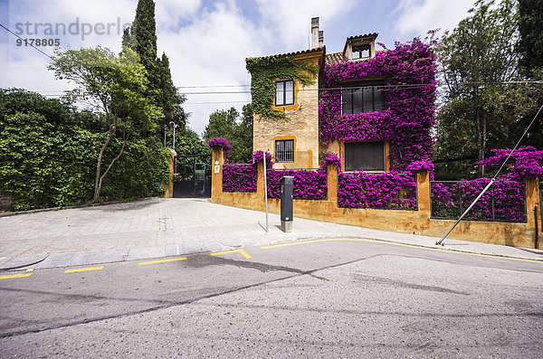 Spanien  Barcelona  Sant Gervasi  mit Blumen bewachsenes Haus