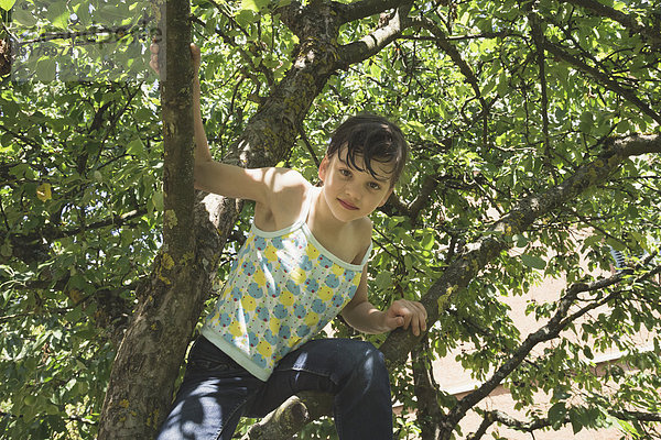 Porträt eines kleinen Mädchens  das auf einen Baum klettert