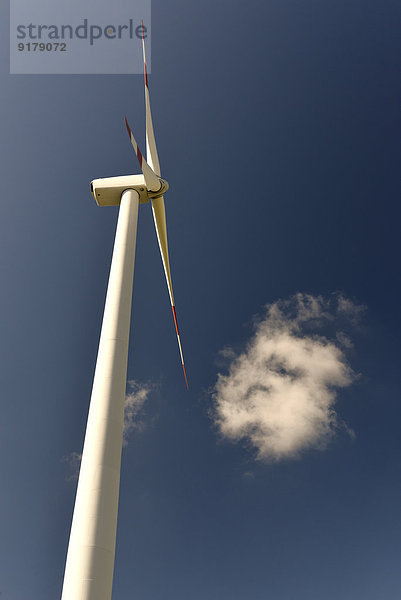 Deutschland  Sachsen-Anhalt  Windkraftanlage