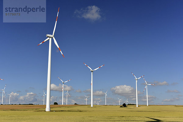 Deutschland  Sachsen-Anhalt  Onshore Windpark auf dem Feld