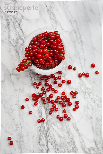 Schale mit roten Johannisbeeren  Ribes rubrum  auf weißem Marmor  erhöhte Ansicht