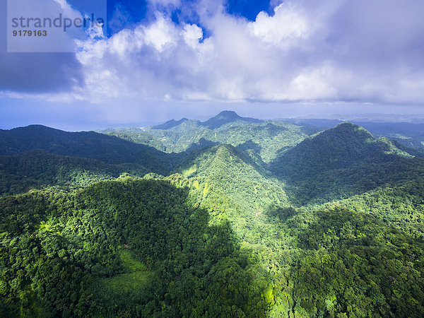 Karibik  Antillen  Kleine Antillen  St. Lucia  Cresslands  Luftbild über Urwald und Berge