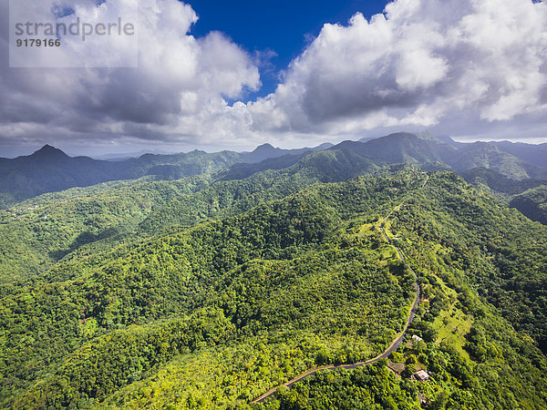 Karibik  Antillen  Kleine Antillen  St. Lucia  Soufriere  Luftbild über Urwald und Berge