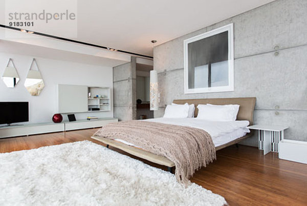 Shag Teppich im modernen Schlafzimmer