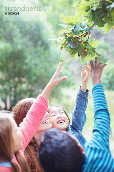 Lehrer und Schüler greifen nach Blättern am Baum