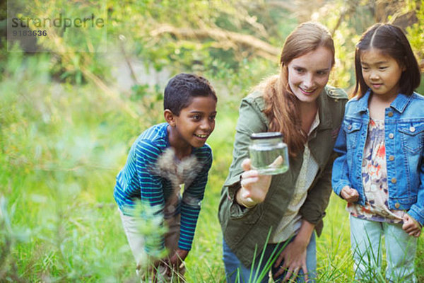 Schüler und Lehrer untersuchen Insekten im Glas