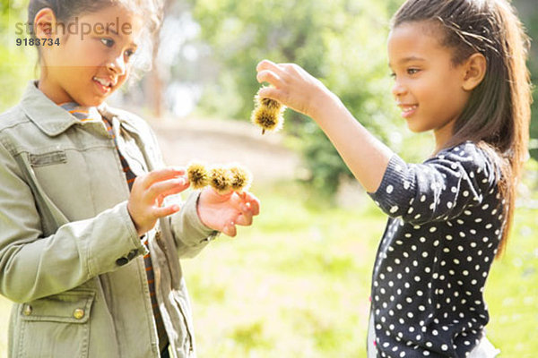 Kinder untersuchen Pflanzen im Freien