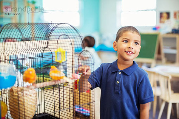 Student untersucht Vogelkäfig im Klassenzimmer