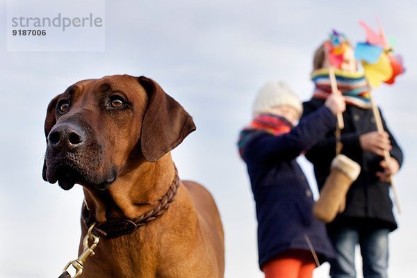 Hund mit Jungen und Mädchen und Papierwindmühlen an der Küste