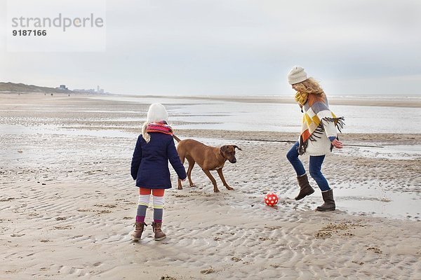 Mittlere erwachsene Frau mit Tochter und Hund beim Fußball am Strand  Bloemendaal aan Zee  Niederlande