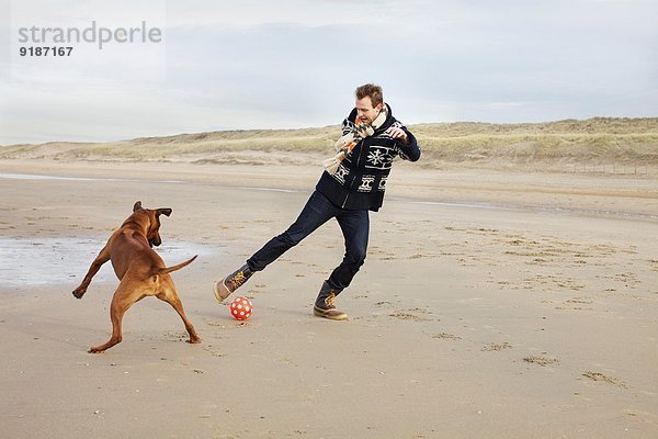 Mittlerer Erwachsener Mann mit Hund  der Fußball am Strand spielt  Bloemendaal aan Zee  Niederlande